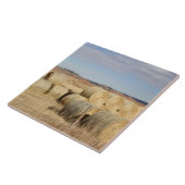 Crook County, Heu-Ballen 2 Fliese (Seite)