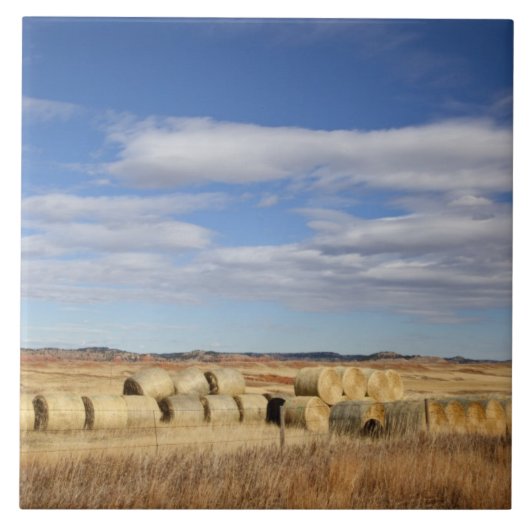 Crook County, Heu-Ballen Fliese (Vorderseite)