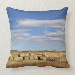 Crook County, Heu-Ballen Kissen