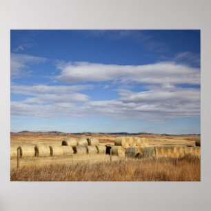 Crook County, Heu-Ballen Poster