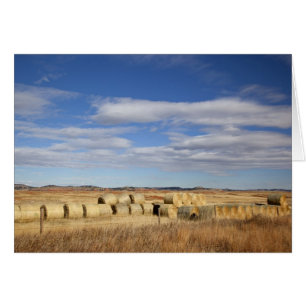 Crook County, Heuballen
