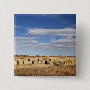 Crook County, Heuballen Button