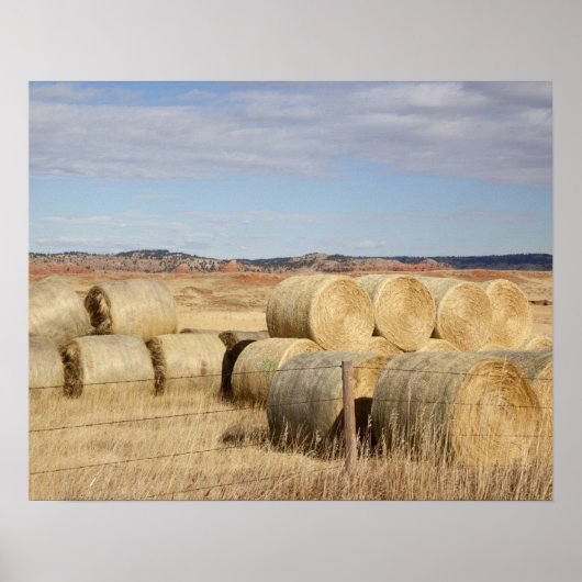 Crook County, Heuballen Poster (Vorne)