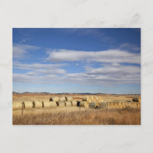Crook County, Heuballen Postkarte