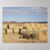 Crook Landkreis, Hay Bales Poster (Vorne)
