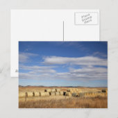 Crook Landkreis, Hay Bales Postkarte (Vorne/Hinten)