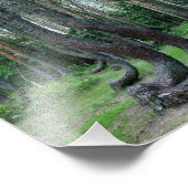 Crooked Forest - Polen Fotodruck (Ecke)