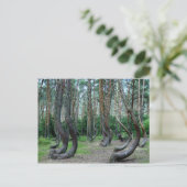 Crooked Forest - Polen Postkarte (Stehend Vorderseite)