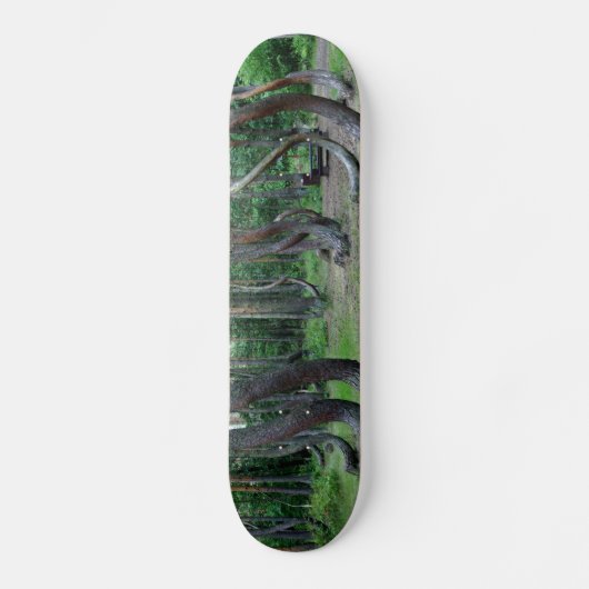 Crooked Forest - Polen Skateboard (Vorderseite)