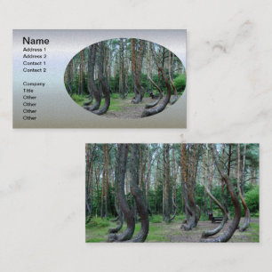 Crooked Forest - Polen Visitenkarte