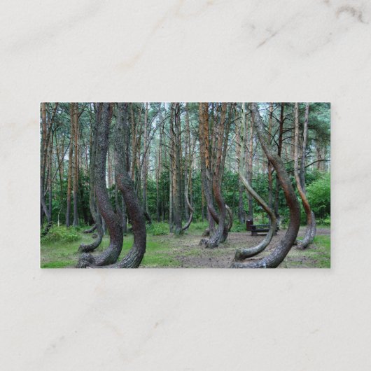 Crooked Forest - Polen Visitenkarte (Rückseite)