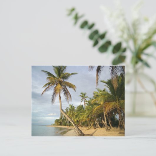 Crooked Palm Postkarte (Stehend Vorderseite)