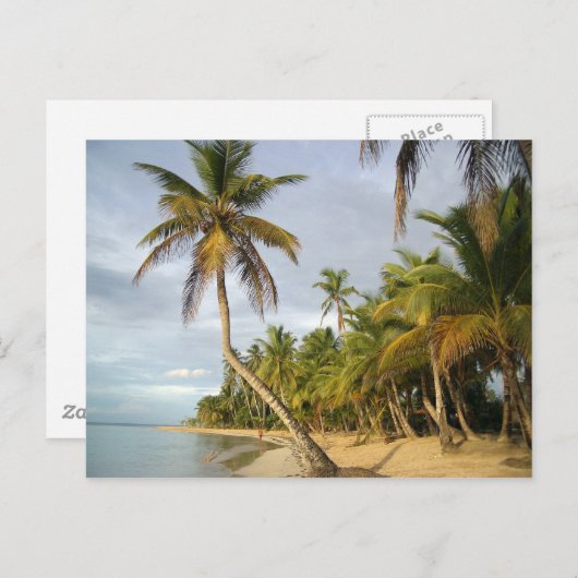 Crooked Palm Postkarte (Vorne/Hinten)