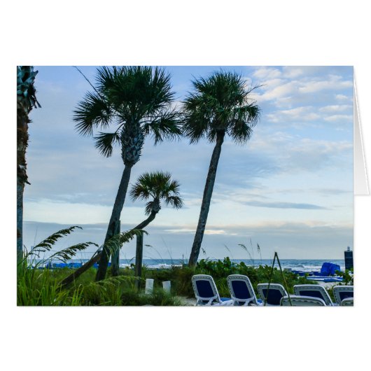 Crooked Palm Trees (Vorderseite (Horizontal))