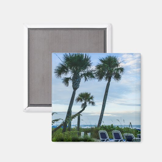 Crooked Palm Trees Magnet (Vorderseite/Rückseite)