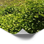 Crooked River, Oregon Poster (Ecke)