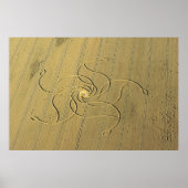 Crop Circle in Diessenhofen, Schweiz / Poster (Vorne)