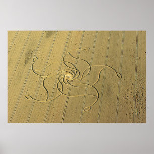 Crop Circle in Diessenhofen, Schweiz / Poster