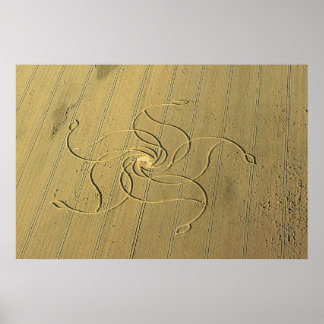 Crop Circle in Diessenhofen, Schweiz / Poster