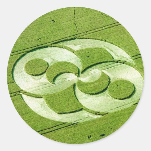 Crop Circle Julia Set Liddington Castle 1996 Runder Aufkleber (Vorderseite)