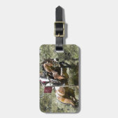 Cross Country Gepäckanhänger (Vorderseite vertikal)