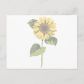 cross dot sunflower postkarte (Vorderseite)