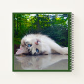 Cross-eyed cat notizblock (Rückseite)