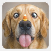 Cross Eyed Golden Retriever With Candy Corn Quadratischer Aufkleber (Vorderseite)