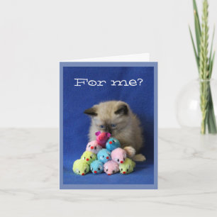 Cross-Eyed Kitten with Toy Mice Dankeskarte