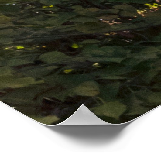 Cross on the Rocks Poster (Ecke)