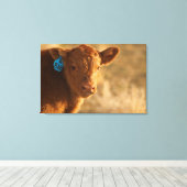 Crossbred Calf Leinwanddruck (Insitu (Holzboden))
