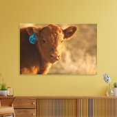 Crossbred Calf Leinwanddruck (Insitu (Wohnzimmer))