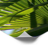 Crossed Palms Poster (Ecke)