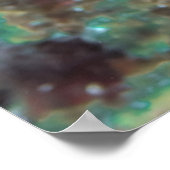 Crosseyed Snapper Poster (Ecke)