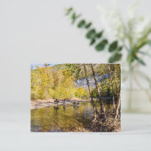 Crossing The Buffalo River Postcard Postkarte (Stehend Vorderseite)