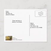 Crossing The Buffalo River Thank you Postcard Postkarte (Rückseite)