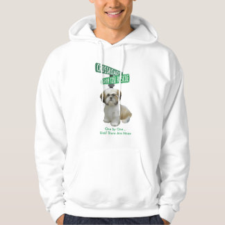 crossroadslogo.ai hoodie