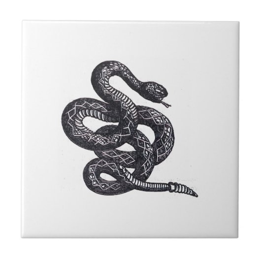 Crotalus Cascavella Schlange (Giftige Grubenotter) Fliese (Vorderseite)