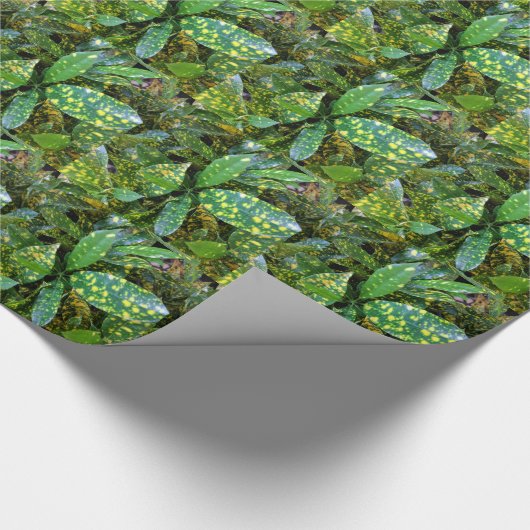 Croton Pflanze Geschenkpapier (Ecke)