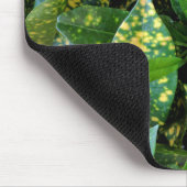 Croton Pflanze Mousepad (Ecke)