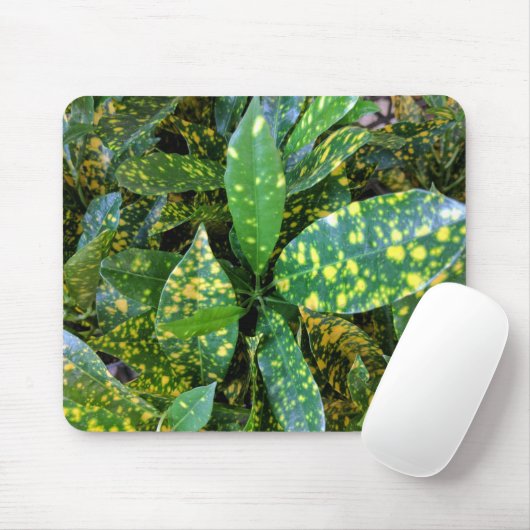 Croton Pflanze Mousepad (Mit Mouse)