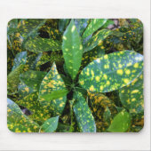 Croton Pflanze Mousepad (Vorne)