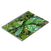 Croton Pflanze Notizblock (Linke Seite)