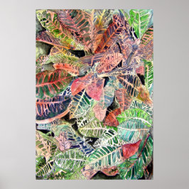 croton_Pflanze_painting Poster