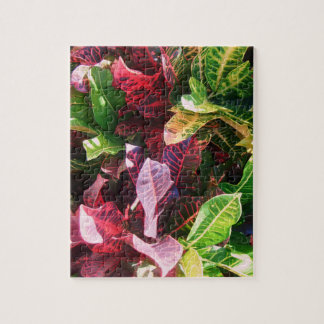 *Croton* Puzzle