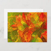 Croton Variegatum Pflanze Postkarte (Vorne/Hinten)