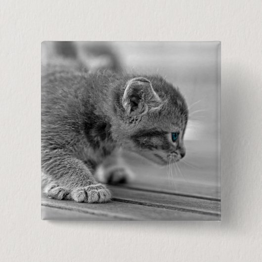Crouching Kitten Button (Vorderseite)