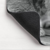 Crouching Kitten Mousepad (Ecke)