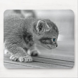 Crouching Kitten Mousepad