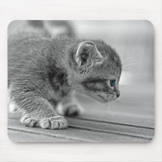 Crouching Kitten Mousepad (Vorne)